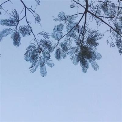 宝宝乐器演奏家游戏下载安装